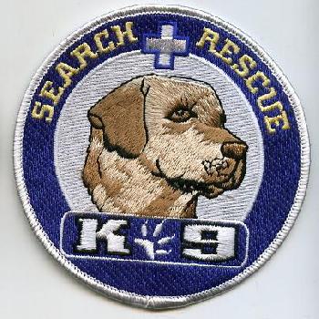 Nypd Narcotics Patch/ Download